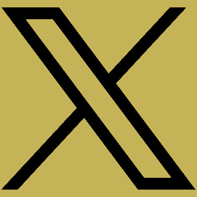 X (Twitter)